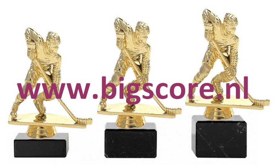 IJshockey Heer Goud 4041-G